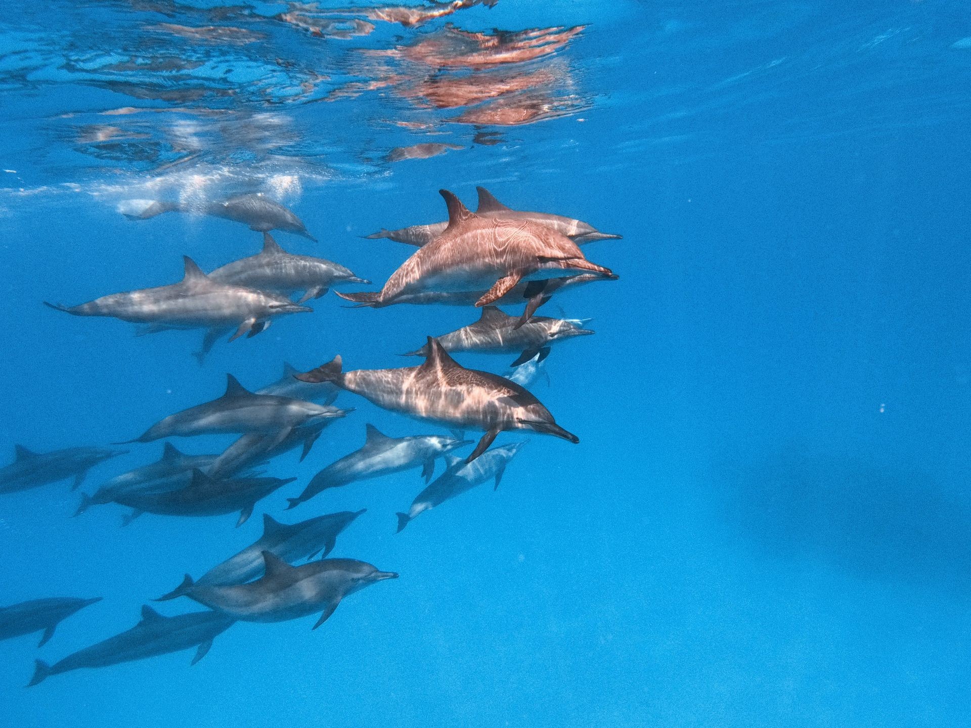 Private Charter Tours